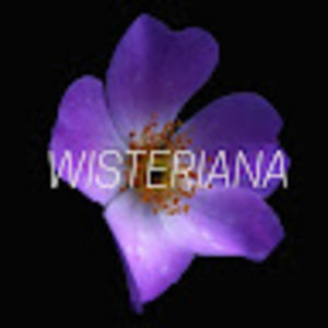 Meet your Posher, Wisteriana